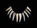 Multipack 1.5-2.25' DRILLED Antler Tips Real Deer Bone Taxidermy Pendant Necklace Jewelry Beads 