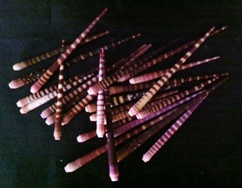 May include: A collection of approximately 30 long, thin, purple and white striped seashells. The shells are arranged in a random pattern on a black surface.