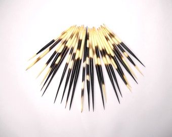 Multipack 4"-6" DRILLED UNCUT Porcupine Quills Needles Beads for quillwork, art projects, costumes,etc