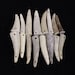 Multipack 1.5-2.25' DRILLED 2 HOLE CONNECTOR Antler Tips Real Deer Bone Taxidermy 
