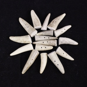 May include: A collection of 14 natural antler buttons, each with two or three holes, arranged in a starburst pattern on a black background.