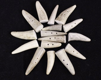 Multipack 1-1.5" antler tip DRILLED TOGGLE 2 HOLE Real Deer Bone Taxidermy