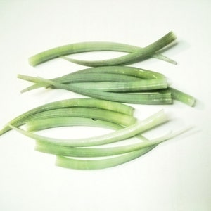 May include: A collection of fresh, light green scallions, cut into long, slender pieces, are arranged on a white surface. The scallions have a vibrant green color, with some sections appearing lighter. The composition is simple, highlighting the natural form of the vegetables.