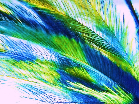 10 Tie Dye Feather Extensions CRUELTY FREE Green and Deep Blue Emu Tye Dye Feathers for Hair FTHR08 Etsy Ireland