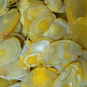 2-3 BULK agate slices yellow polished dyed slabs with solid centers natural gemstone rock stone mineral specimen image 1