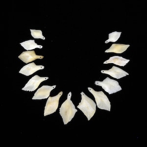 May include: A necklace made of 15 white, bone-like, teardrop-shaped pendants with a hole at the top. The pendants are arranged in a semi-circle shape on a black background.