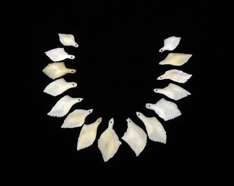 5 DRILLED .75"-1.5" Gar Bone Scales Real Taxidermy Genuine Bones beads pendant necklace