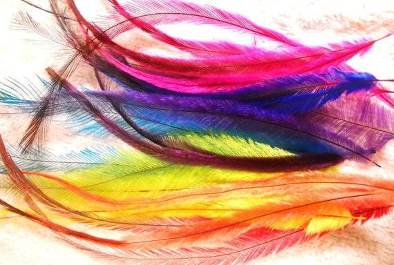 Hair Feathers Extension Kit, 100% Real Rooster Feathers, Long Feather Hair  Extensions in Pink, Purple, and Blue by Feather Lily