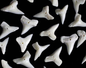 Multipack DRILLED Shark Teeth 5/8" (approx) Mako Real Bone Taxidermy Tooth Bones Pendant Beads