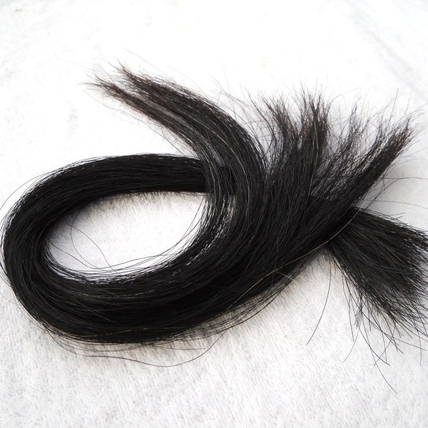 XL 22" Blk Real Horse Hair by the ounce Tail Hair Animal Fur Natural Black