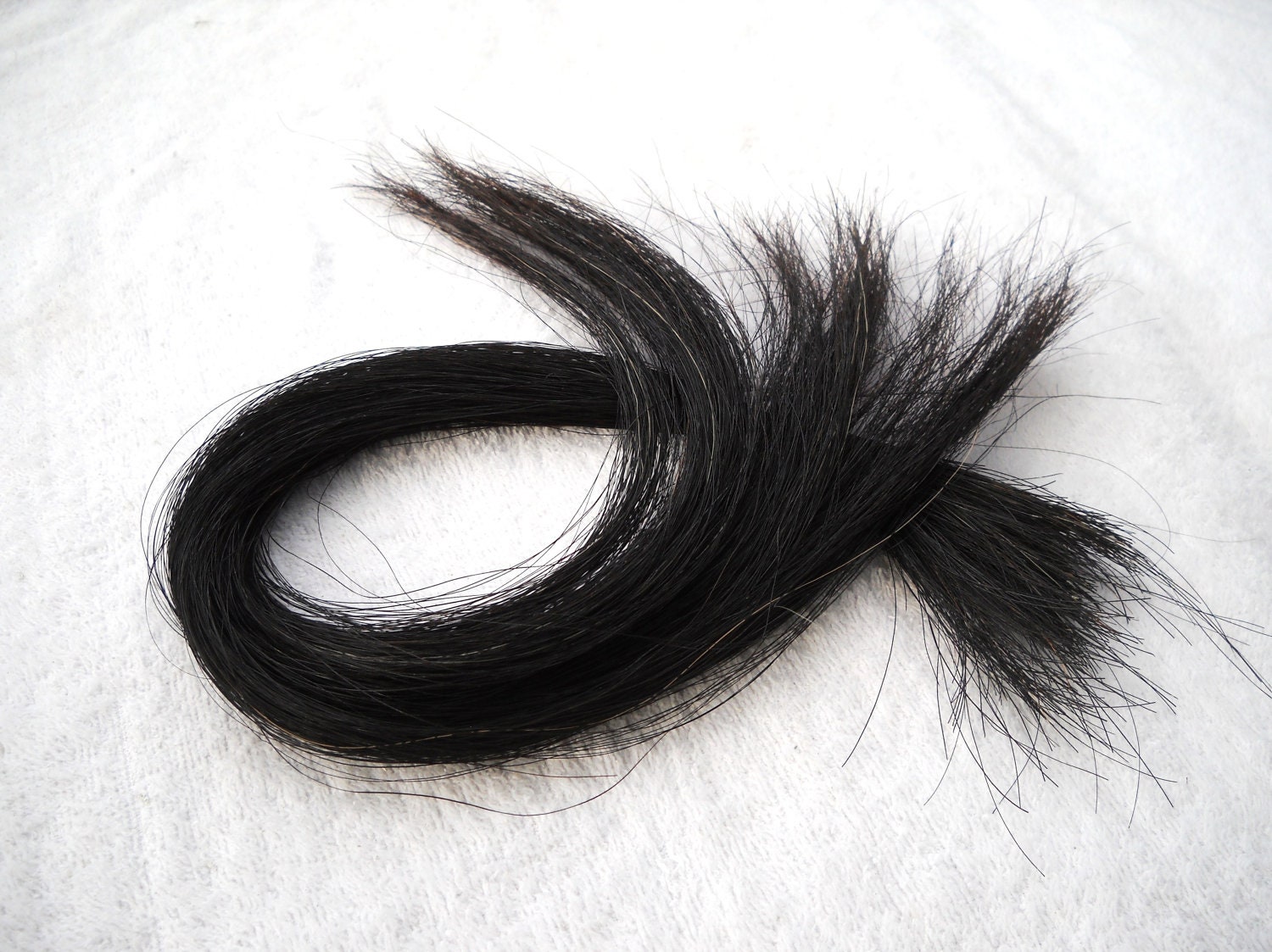 XL 22 Blk Real Horse Hair by the Ounce Tail Hair Animal - Etsy