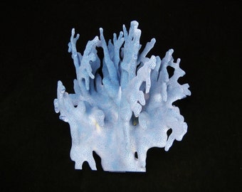 4"-8"  Blue Coral natural color sea life ocean beach nautical Hawaii seashell decor gift