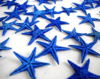 Multipack Blue Tiny Starfish 1/2-1" bulk order sea life ocean beach nautical Hawaii seashell star fish