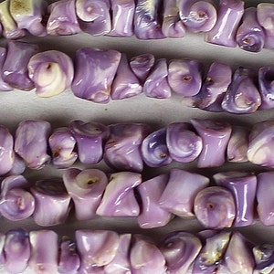 1/43/8 SIDE DRILLED Cebu Beauty shells bulk wholesale shell sea life Hawaii seashell purple beads image 2