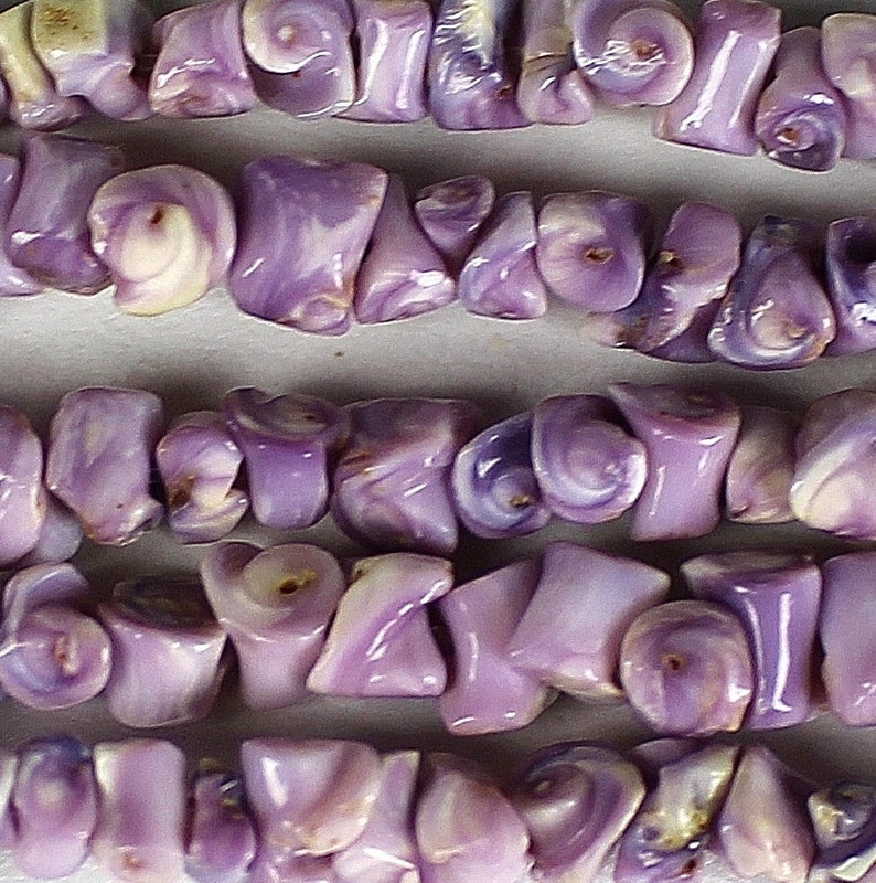 1/43/8 SIDE DRILLED Cebu Beauty shells bulk wholesale shell sea life Hawaii seashell purple beads image 2
