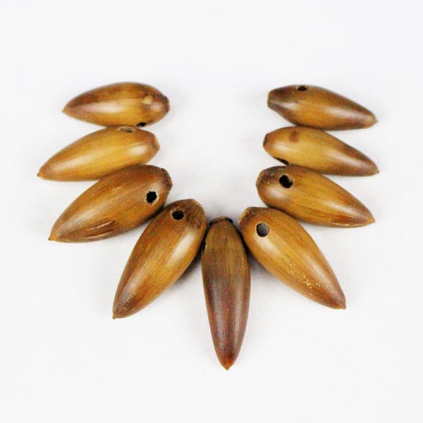 Multipack 1"-1.5" Acorns DRILLED Dried Real Seed Pod Wood Nut Pendant Beads