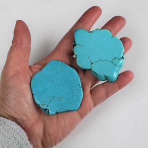 May include: Two turquoise blue stones with a rough, irregular shape. The stones have a mottled, veined appearance.