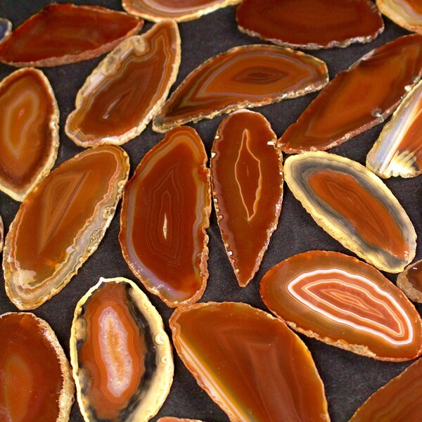 Multipack 1.5-3" agate slices natural rusty orange polished slabs natural gemstone rock stone mineral specimen