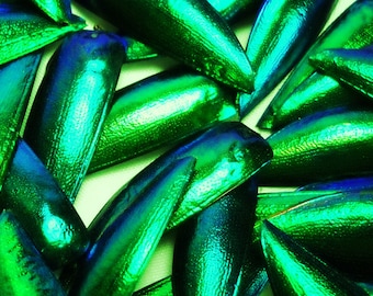 Multipack 1.25" Elytra Beetle Wings GREEN TONE natural iridescent elyctra insect bug metallic jewel green and blue taxidermy