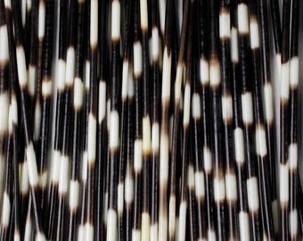 Multipack 10-12&quot; THIN Porcupine Quills Needles for quillwork, art projects, costumes,etc