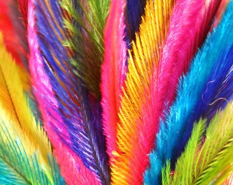 custom for Dryad, 100 Count Cruelty Free Emu feathers, 30 rainbow, 70 tie dye, no reds