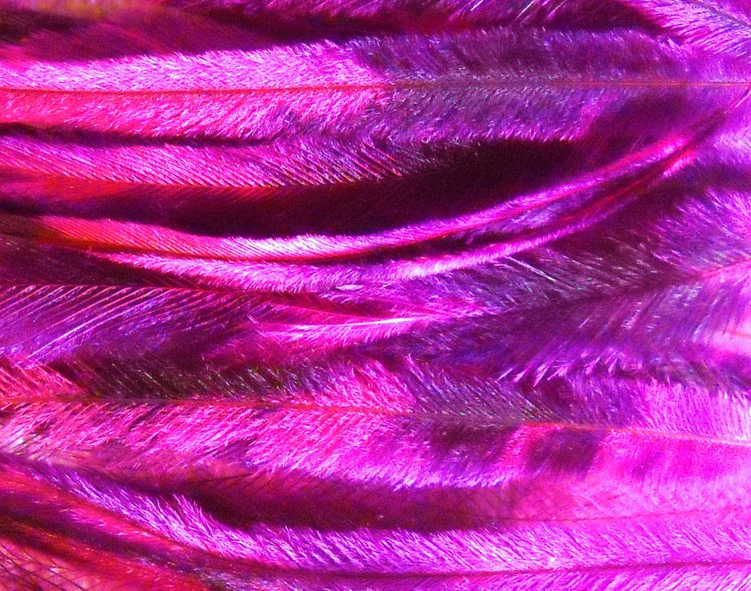 10 Tie Dye Feather Extensions CRUELTY FREE Pink and Purple Emu Etsy