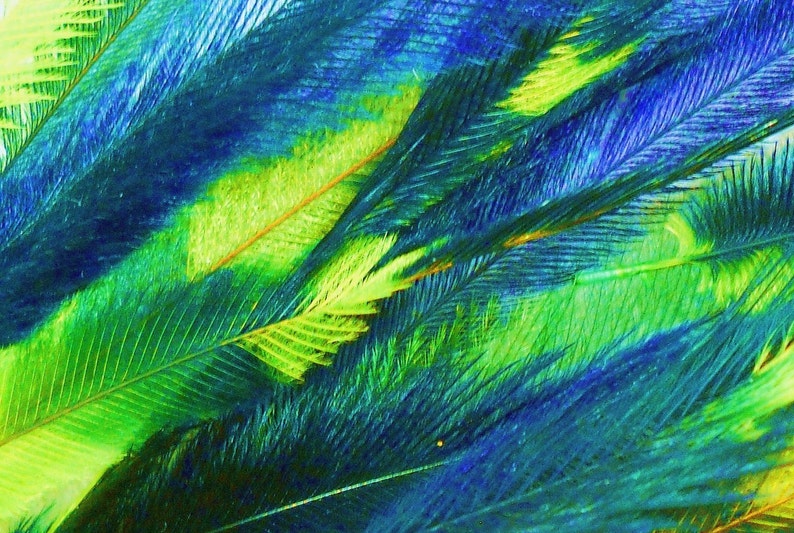 10 Tie Dye Feather Extensions CRUELTY FREE Green and Deep Blue Etsy