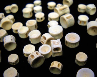 Multipack 1/4-3/8" Shark Vertebrae Real Bone Taxidermy Fish Skeleton Backbone Vertebra Verts WHOLE SIZE SMALL