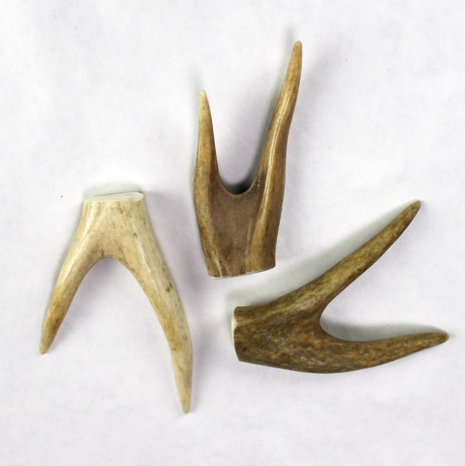 Multipack 35 WHOLE Antler Forks Real Deer Bone Etsy