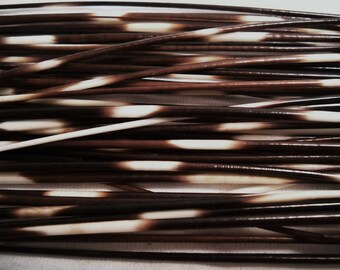 Five EXTRA THIN 12-14" Porcupine Quills Needles for quillwork, art projects, costumes,etc