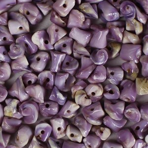 1/4"-3/8" SIDE DRILLED Cebu Beauty shells bulk wholesale shell sea life Hawaii seashell purple beads