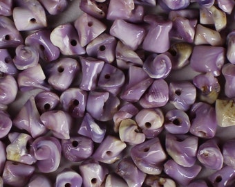1/4"-3/8" SIDE DRILLED Cebu Beauty shells bulk wholesale shell sea life Hawaii seashell purple beads