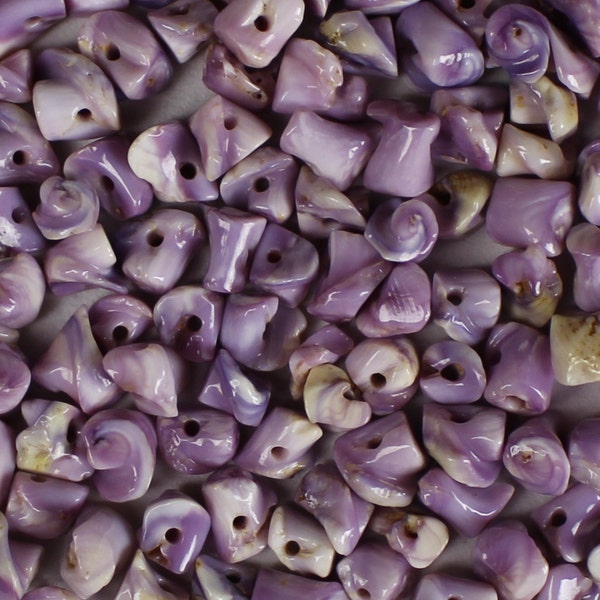 1/4"-3/8" SIDE DRILLED Cebu Beauty shells bulk wholesale shell sea life Hawaii seashell purple beads