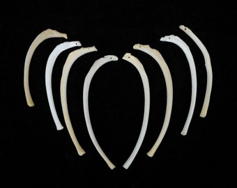 Multipack DRILLED 2-4" Raccoon Ribs Real Bone Taxidermy Pendant Beads