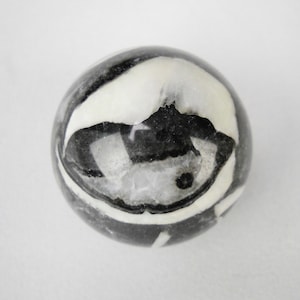 1.5&quot; fossil clam gemstone spheres silver and midnight grey