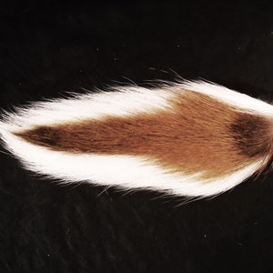 1 LARGE 8"-13" Deer tail buck tail Totem Loose Tails for art project, ornaments, costume, Etc