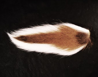 1 LARGE 8"-13" Deer tail buck tail Totem Loose Tails for art project, ornaments, costume, Etc