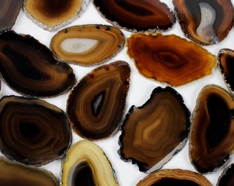 Multipack 1.5-3" agate slices root beer brown polished dyed slabs natural gemstone rock stone sliced mineral specimen