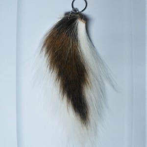 One 8-13&quot; real Deer tail preserved with grommet and ball chain for art project, key chain, ornament, costume, Etc