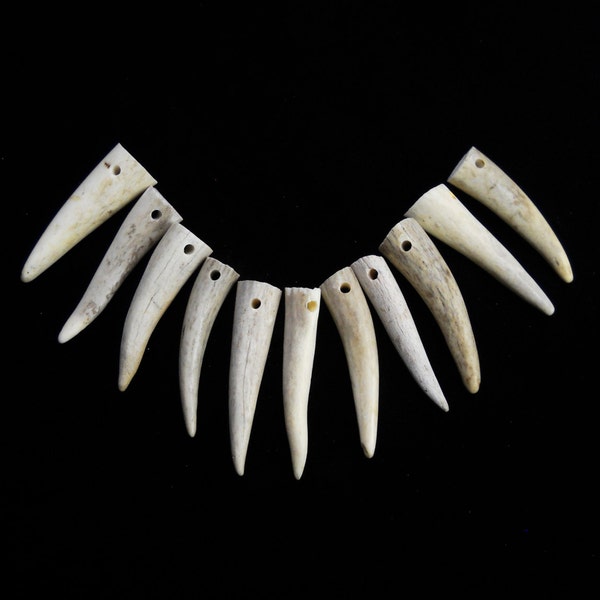 Multipack 2.25-3" DRILLED Antler Tips Real Deer Bone Taxidermy Pendant Necklace Jewelry Beads