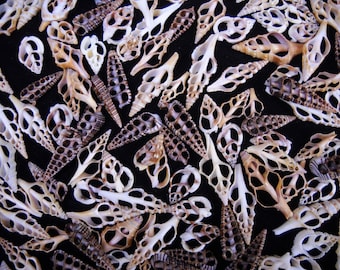 May include: A collection of numerous cut auger seashells scattered across a black surface. Each shell features a natural spiral structure with multiple open, hollowed-out segments, displaying various shades of tan, brown, and cream colors.