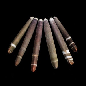 May include: Six brown and white striped seashells with a hole drilled through the top. The shells are arranged in a fan shape.