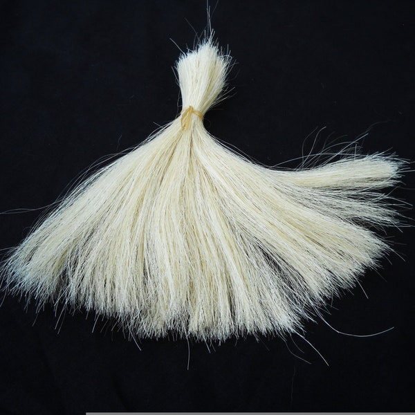 8" white Real Horse Hair by the ounce Tail Hair Animal Fur Cream White bulk buy listing