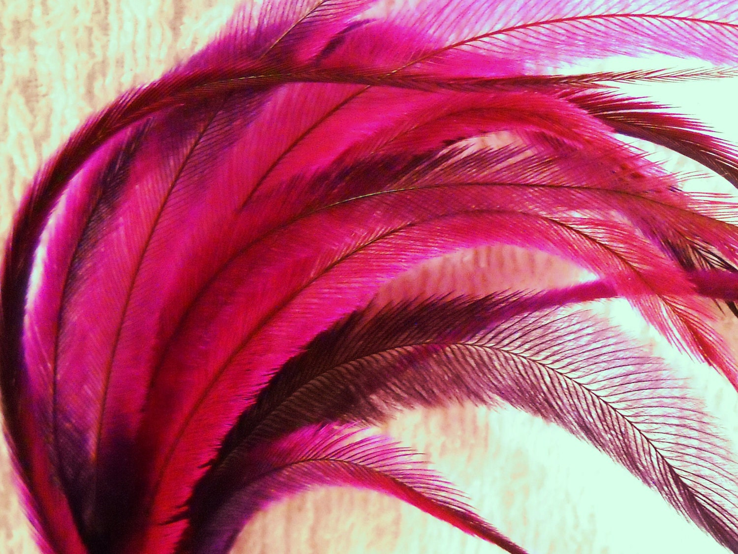 10 Tie Dye Feather Extensions CRUELTY FREE Pink and Purple Emu Etsy