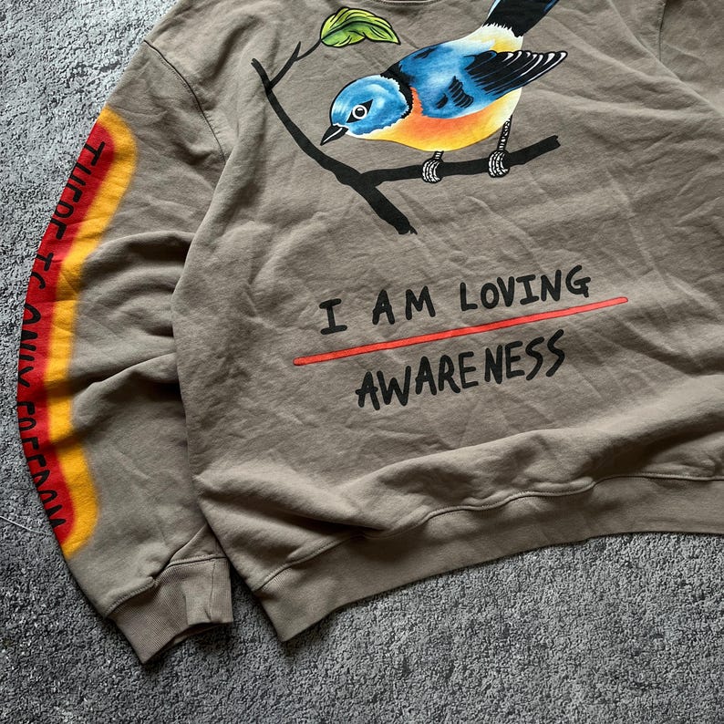 May include: A brown sweatshirt featuring a colorful bird perched on a branch. The text "I AM LOVING AWARENESS" is printed below the bird. The left sleeve has the text "THERE IS ONLY FREEDOM" in a vertical design.