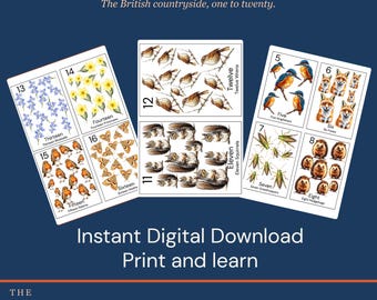 Woodland Number Cards Printable | A-Z British Wildlife | Instant Download | Screen Free Activity