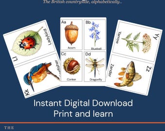 Woodland Alphabet Cards Printable | A-Z Wildlife | Instant Download | Screen Free Activity