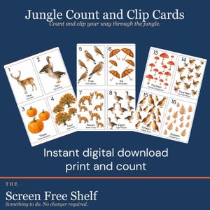 May include: Jungle Count and Clip Cards featuring illustrations of deer, geese, pumpkins, oaks, kestrels, umbrellas, foxes, toadstools, wrens, quail, and ferns. Each card displays a number and corresponding quantity of items for counting practice.