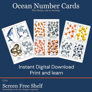 Könnte beinhalten: "Ocean Number Cards" Lernkarten mit Illustrationen von Meereslebewesen, nummeriert von eins bis zwanzig. Die Karten zeigen verschiedene Meeresbewohner wie Wale, Delfine und Haie, mit dem Text "Instant Digital Download Print and learn."