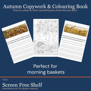 May include: An Autumn Copywork & Colouring Book featuring three pages with illustrations of harvest mice, hedgehogs, and horse chestnuts. Each page includes educational text about nature and lined sections for handwriting practice.